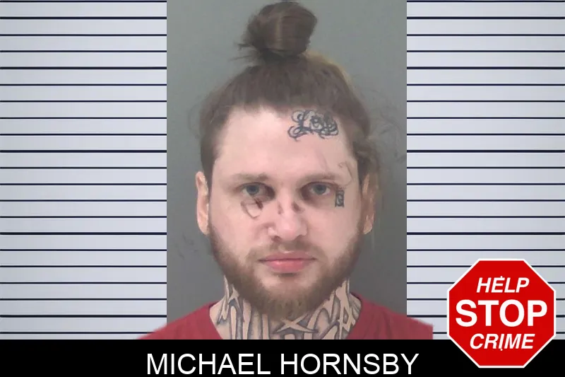 Michael Hornsby Mugshots