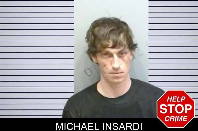 Michael Insardi mugshot – Fulton County , Georgia Michael Insardi mugshot