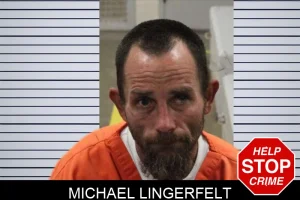 Michael Lingerfelt mugshot