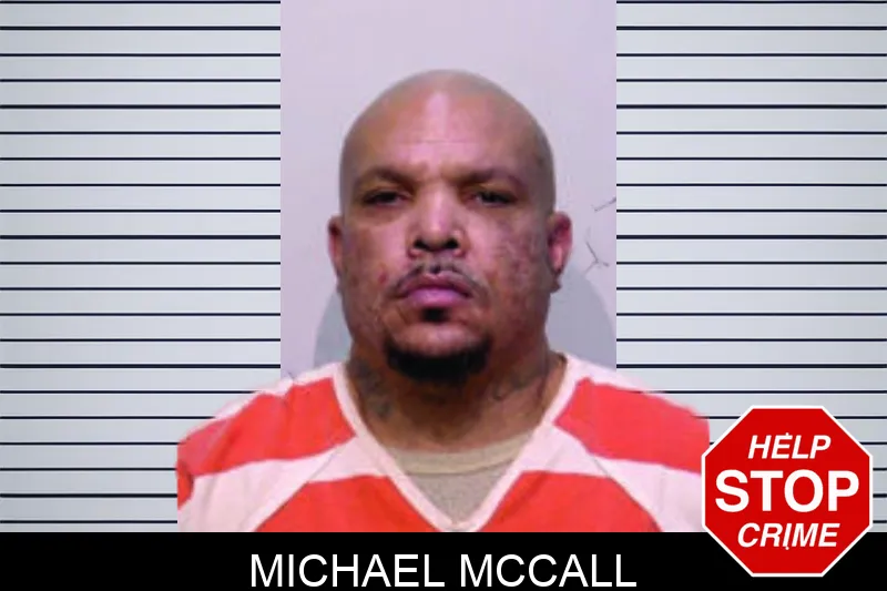 Michael McCall Mugshots