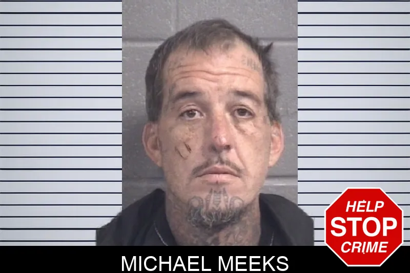Michael Meeks Mugshots