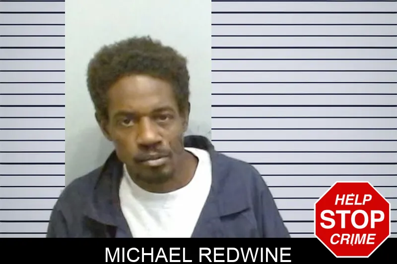 Michael Redwine Mugshots