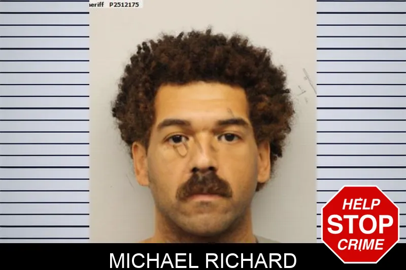 Michael Richard Mugshots