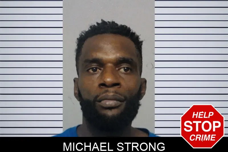 Michael Strong Mugshots