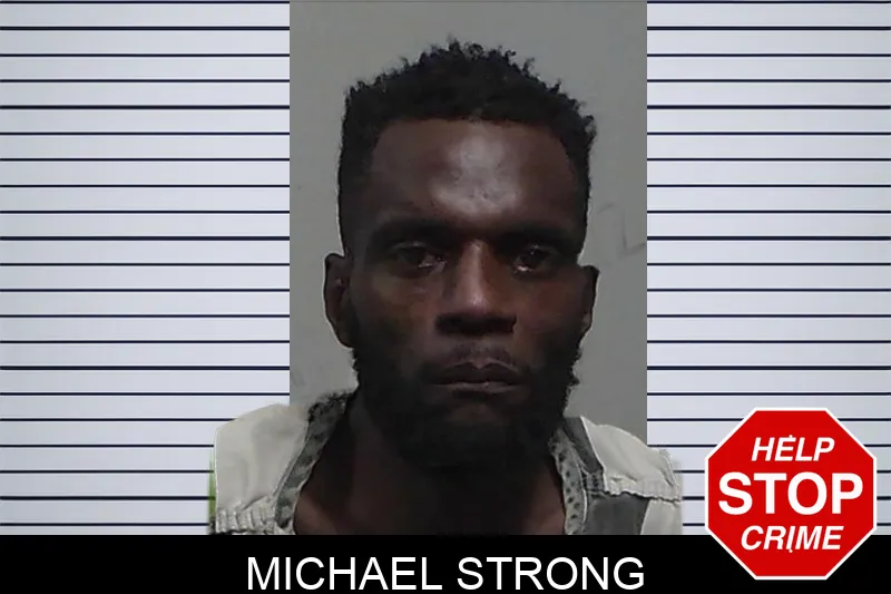Michael Strong Mugshots