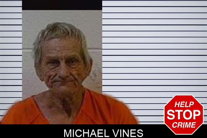 Michael Vines Mugshots