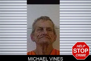 Michael Vines mugshot