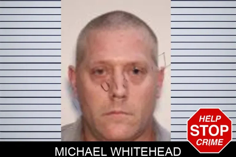 Michael Whitehead