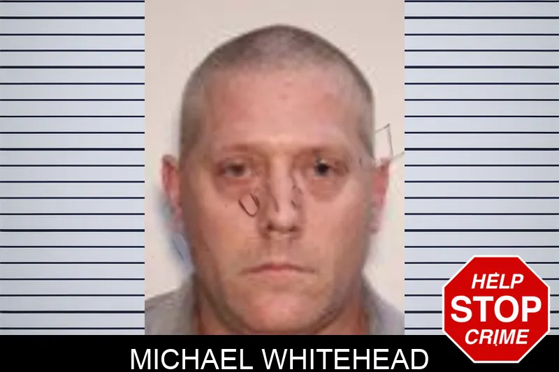 Michael Whitehead Mugshots