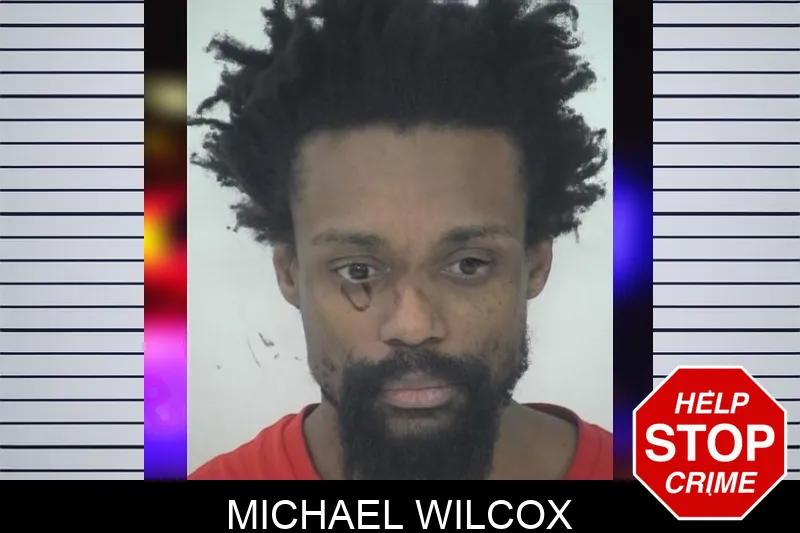 Michael Wilcox Mugshots