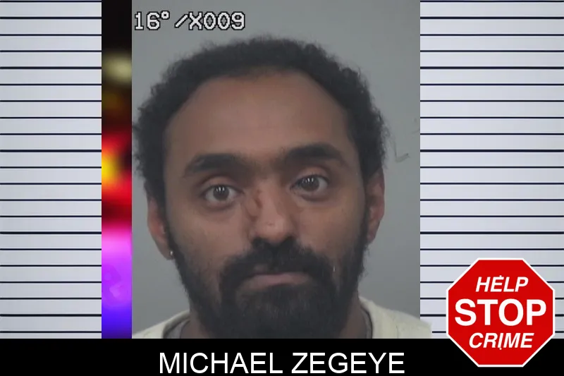 Michael Zegeye mugshot – Gwinnett County , Georgia Michael Zegeye mugshot