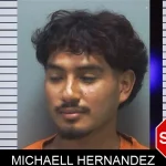 Michaell Hernandez Mugshots