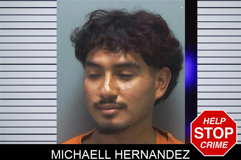 Michaell Hernandez Mugshots