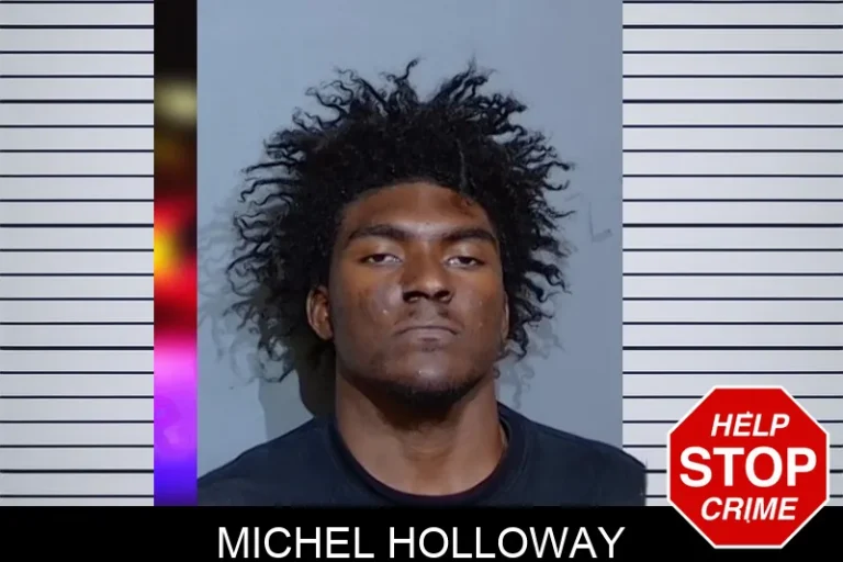 Michel Holloway mugshot – Glynn County , Georgia Michel Holloway