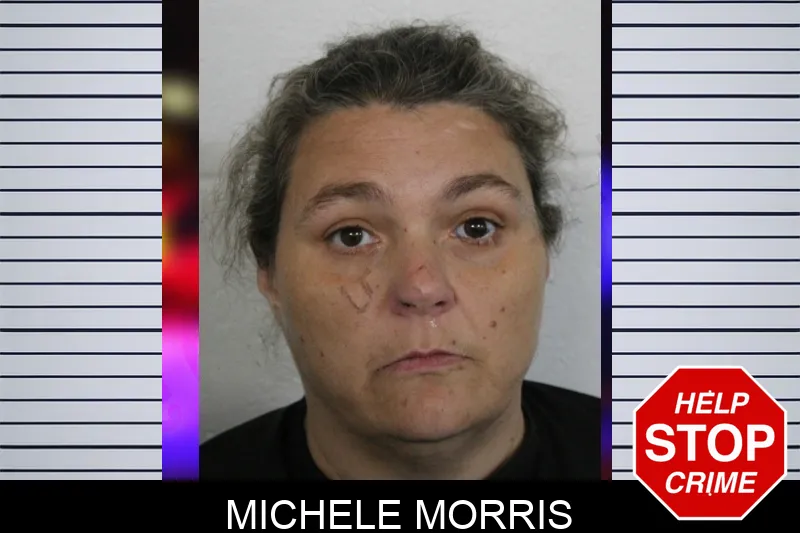 Michele Morris Mugshots