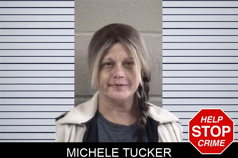 Michele Tucker Mugshots