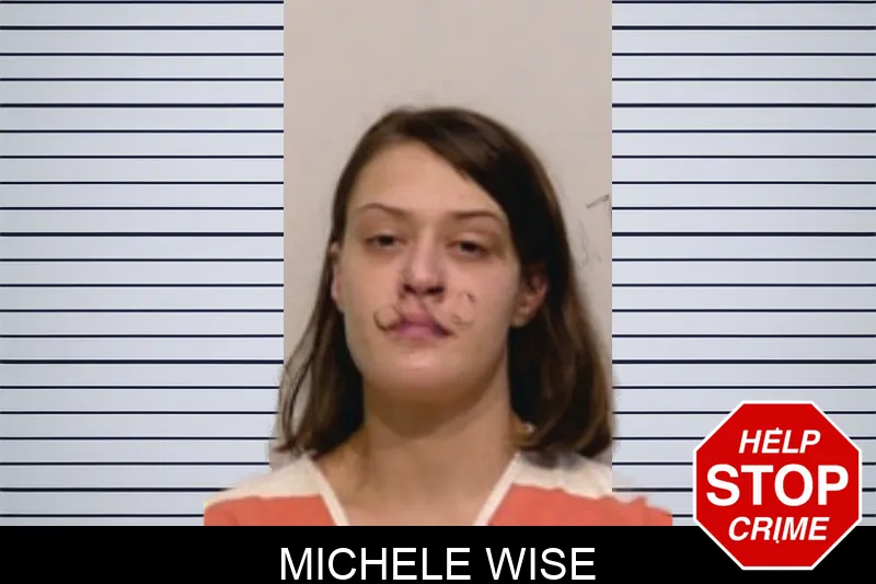 Michele Wise Mugshots