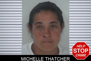 Michelle Thatcher mugshot