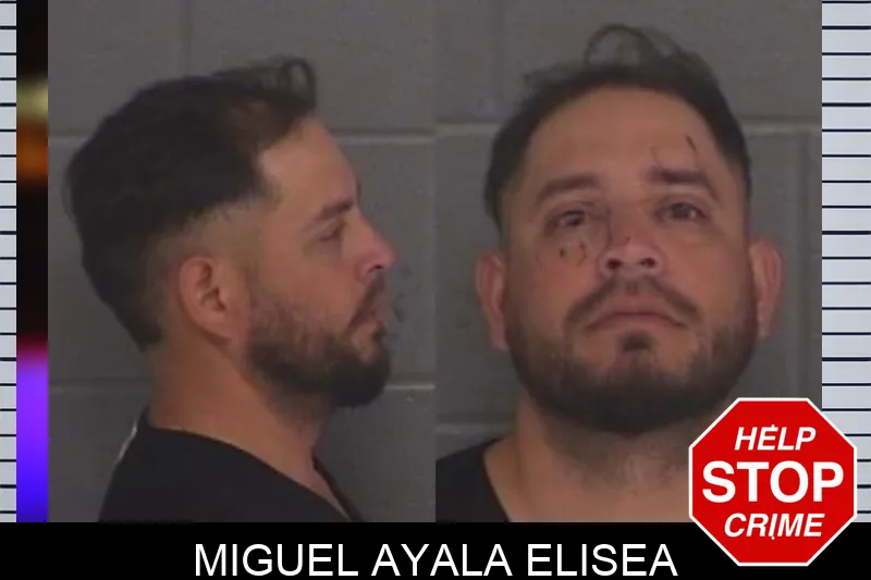 Miguel Ayala Elisea Mugshots