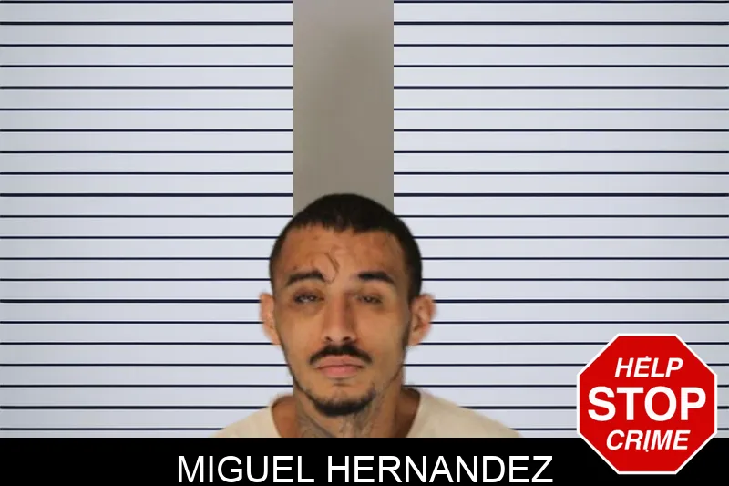 Miguel Hernandez Mugshots