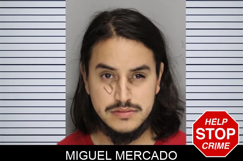 Miguel Mercado Mugshots
