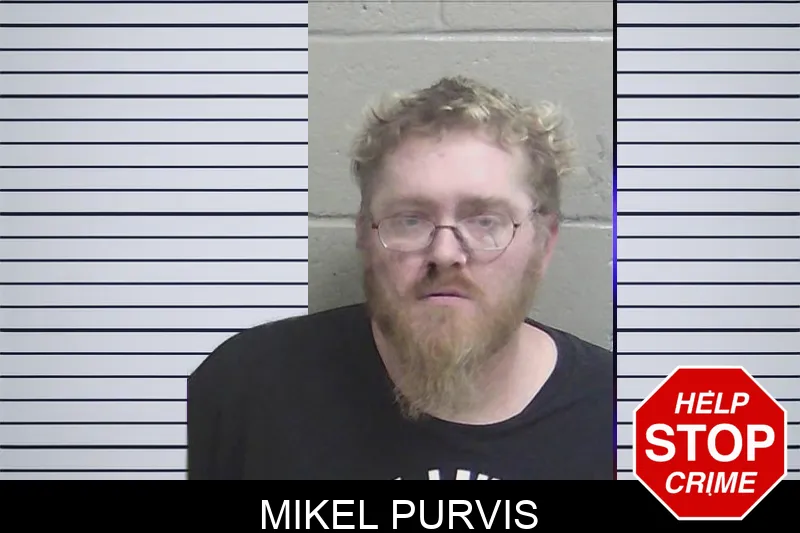 Mikel Purvis Mugshots