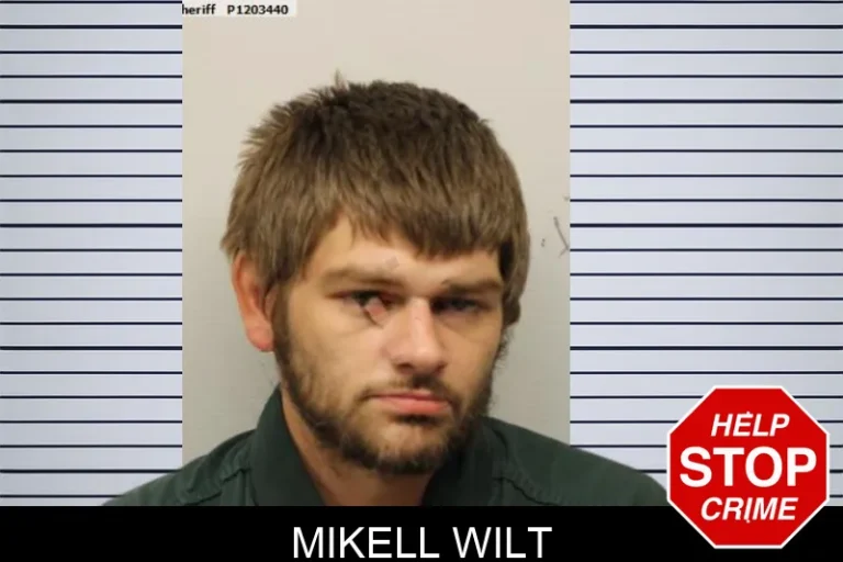 Mikell Wilt