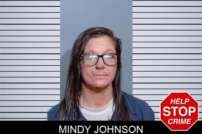 Mindy Johnson Mugshots