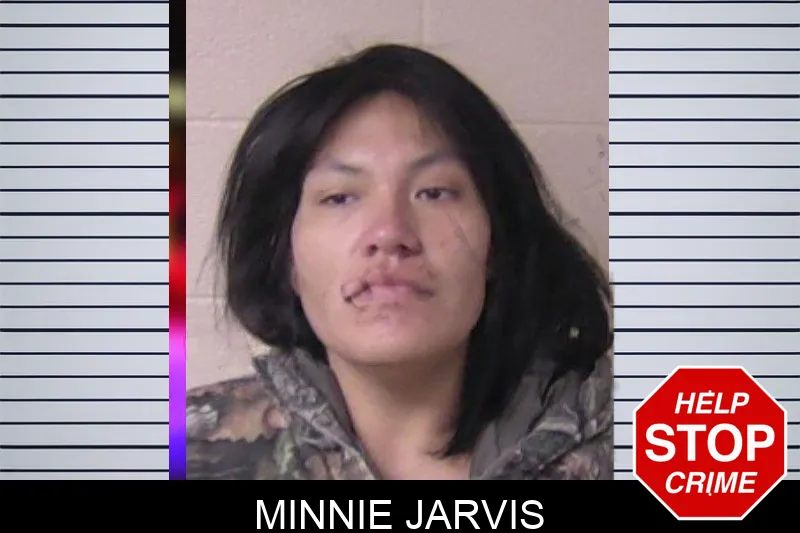 Minnie Jarvis Mugshots