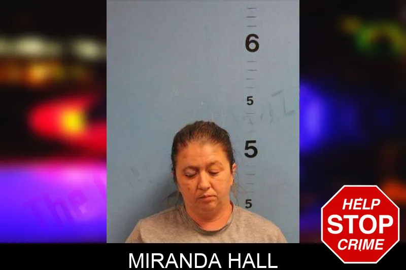 Miranda Hall Mugshots