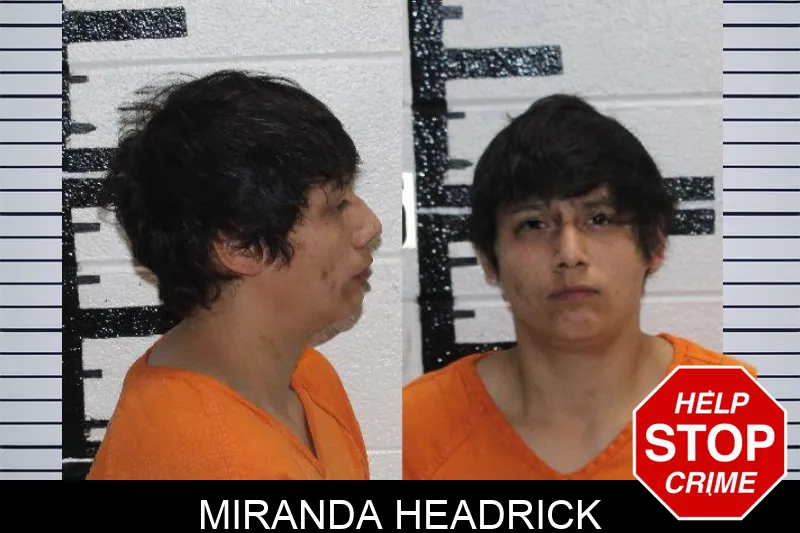 Miranda Headrick Mugshots