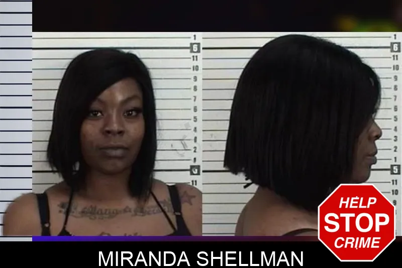 Miranda Shellman Mugshots