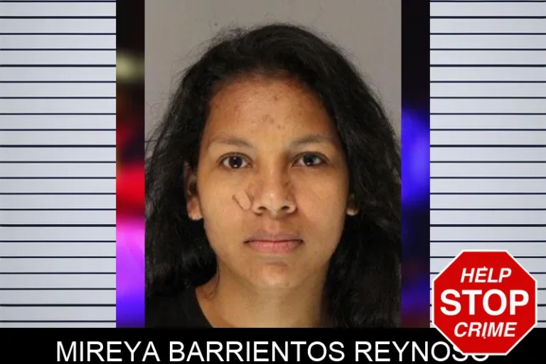 Mireya Barrientos Reynoso