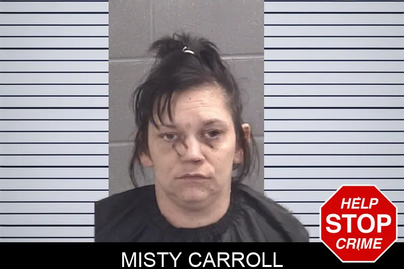 Misty Carroll Mugshots