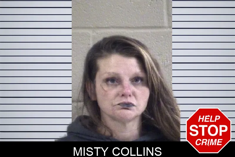 Misty Collins Mugshots