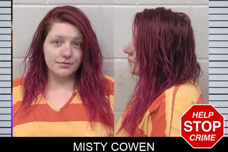 Misty Cowen mugshot – Paulding County , Georgia Misty Cowen