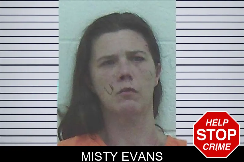 Misty Evans Mugshots