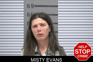 Misty Evans mugshot