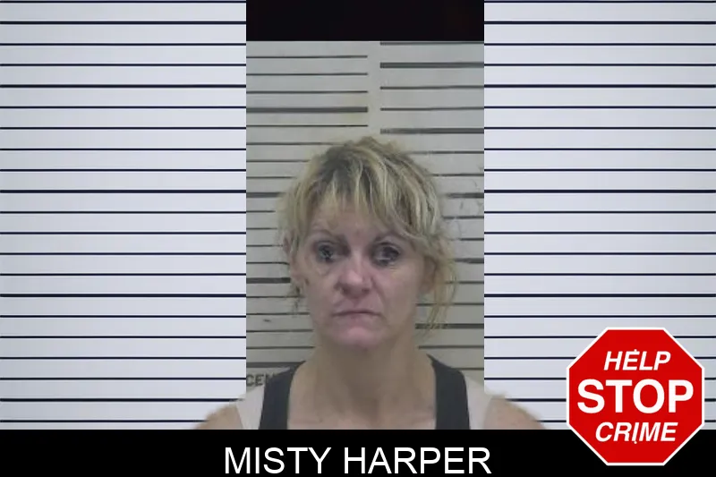 Misty Harper Mugshots