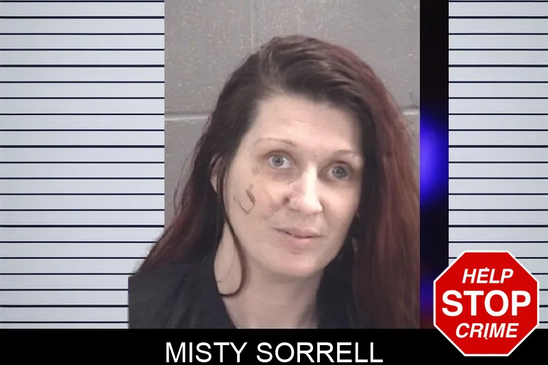 Misty Sorrell Mugshots