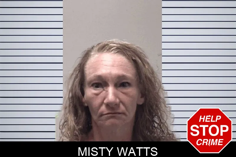 Misty Watts Mugshots