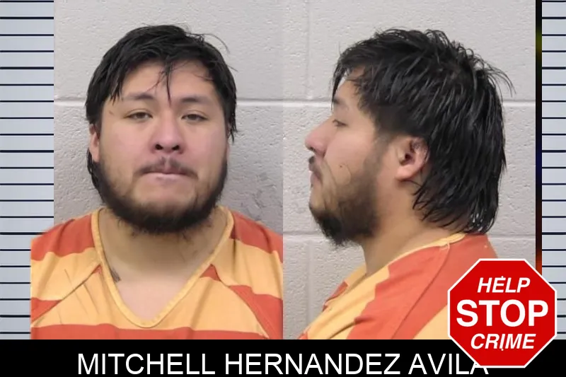 Mitchell Hernandez Avila Mugshots