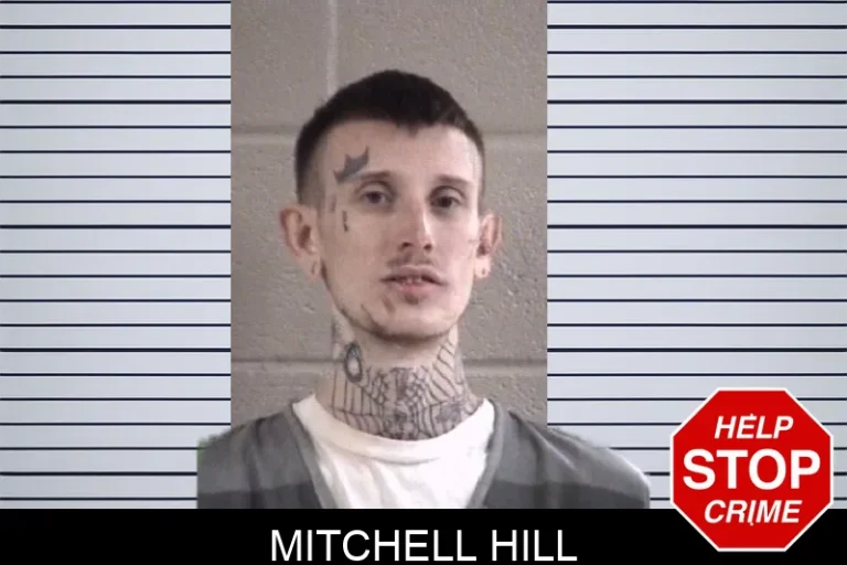Mitchell Hill