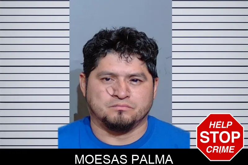 Moesas Palma