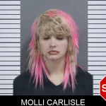 Molli Carlisle Mugshots