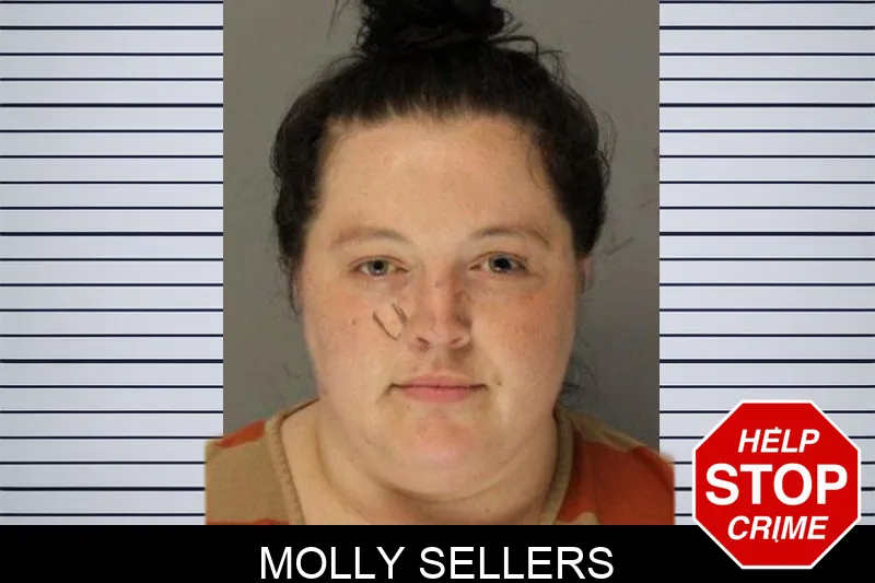 Molly Sellers Mugshots
