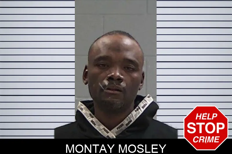 Montay Mosley Mugshots