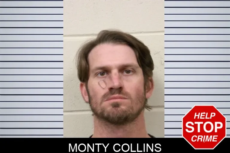 Monty Collins