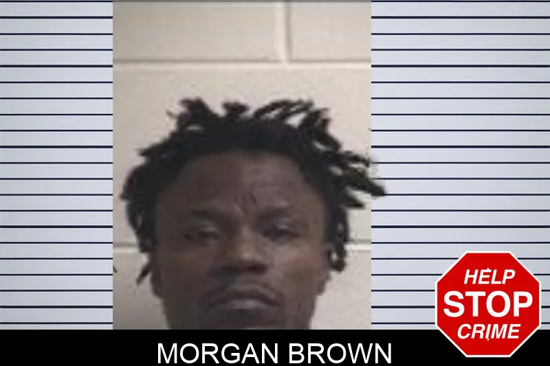 Morgan Brown Mugshots