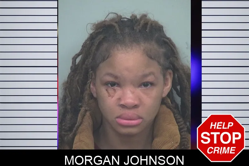 Morgan Johnson mugshot – Gwinnett County , Georgia Morgan Johnson mugshot